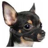 Mayerzon Mesh Muzzle for Short Snout Dogs