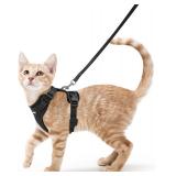 rabbitgoo Cat Harness & Leash Set, XS, Black
