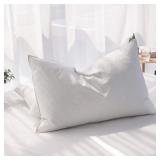 Feathers Down Pillows Queen Set of 2