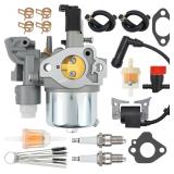Carb for Subaru Robin EX13/17 SP170 + Coil