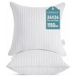 Oubonun 24x24 Throw Pillow Inserts, Pack of 2
