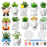 Hushee 12 DIY Ceramic Pots with Drainage Holes