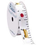 Ribbli Grosgrain Ruler & School Bus Ribbon 7/8'