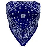 Olivia's Paisley Bandana Tube Top Y2K Crop