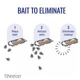 Indoor Liquid Ant Killer Baits