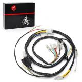 MOTO1988 Wire Harness for Kawasaki Bayou 300
