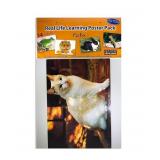 Stages Real Photo Pets Poster Set - Multi - 0
