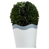 Mud Pie Scalloped Boxwood Pot, Small, 4' x 3'