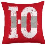 I-O Ohio Buckeye Vintage Grunge Throw Pillow