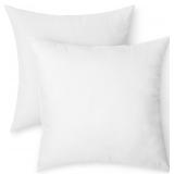 Amazon Basics Pillow Insert, 20' 2-Pack