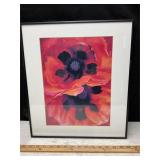 Photo of Oriental Poppies, 15ï¿½ x 17ï¿½, see photos