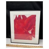 Red Cannas, photo by L. Lorenz, see photos