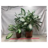 Fake Plants