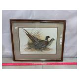 Pheasant Picture