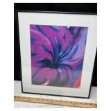 Purple Petunia, Photo by Gregory Heins, see photos