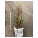 Bundle of Decorative floral, stems and grasses