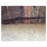 Springfield .22 Caliber Rifle