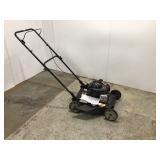 Murray 20 in. 125 cc Briggs & Stratton Walk Behind Gas Push Lawn Mowe