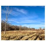 6.5+ Acre Lot Ohio Land Auction