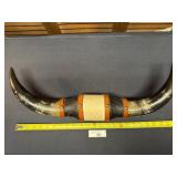 Vintage Bull Horns