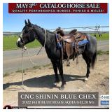 CNC SHININ BLUE CHEX