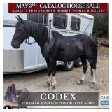 CODEX