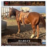 HARLEY