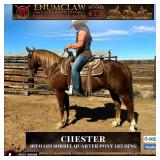 CHESTER