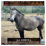LA GROITA
