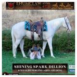 SHINING SPARK DILLION