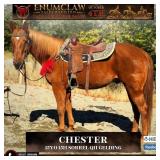 CHESTER