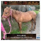 NEARIE