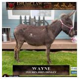 WAYNE