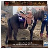 LICORICE