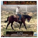 JANE