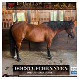 DOCSTUFCHEXNTEX