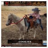 COOKIES