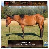 SPIRIT