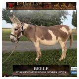 BELLE