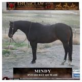 MINDY