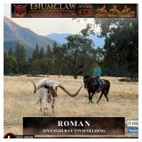 ROMAN