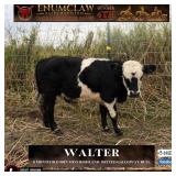 WALTER