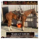 MARACULOUSS