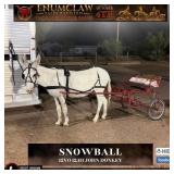 SNOWBALL