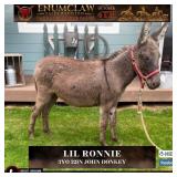 LIL RONNIE