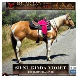 SH NU KINDA VIOLET