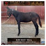 SWEET TEA
