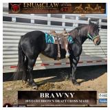 BRAWNY