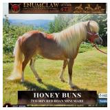 HONEY BUNS