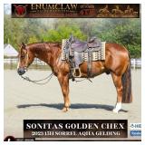 SONITAS GOLDEN CHEX